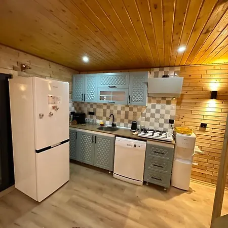 De Denize Yakin Lux 빌라 페티예